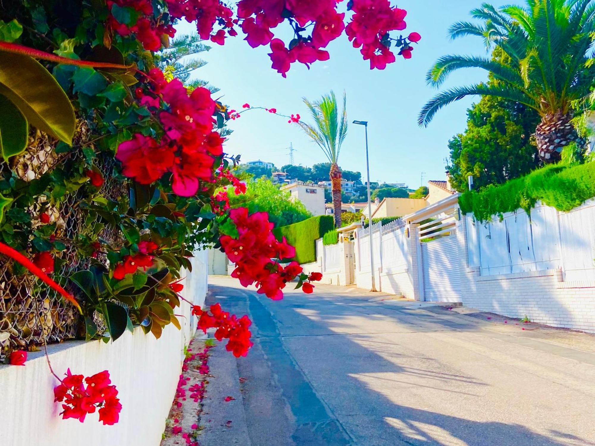 Turyva Tarongers 2 - Relaxing 2 Bedroom Holiday Apartment For Families & Couples Peñíscola Esterno foto